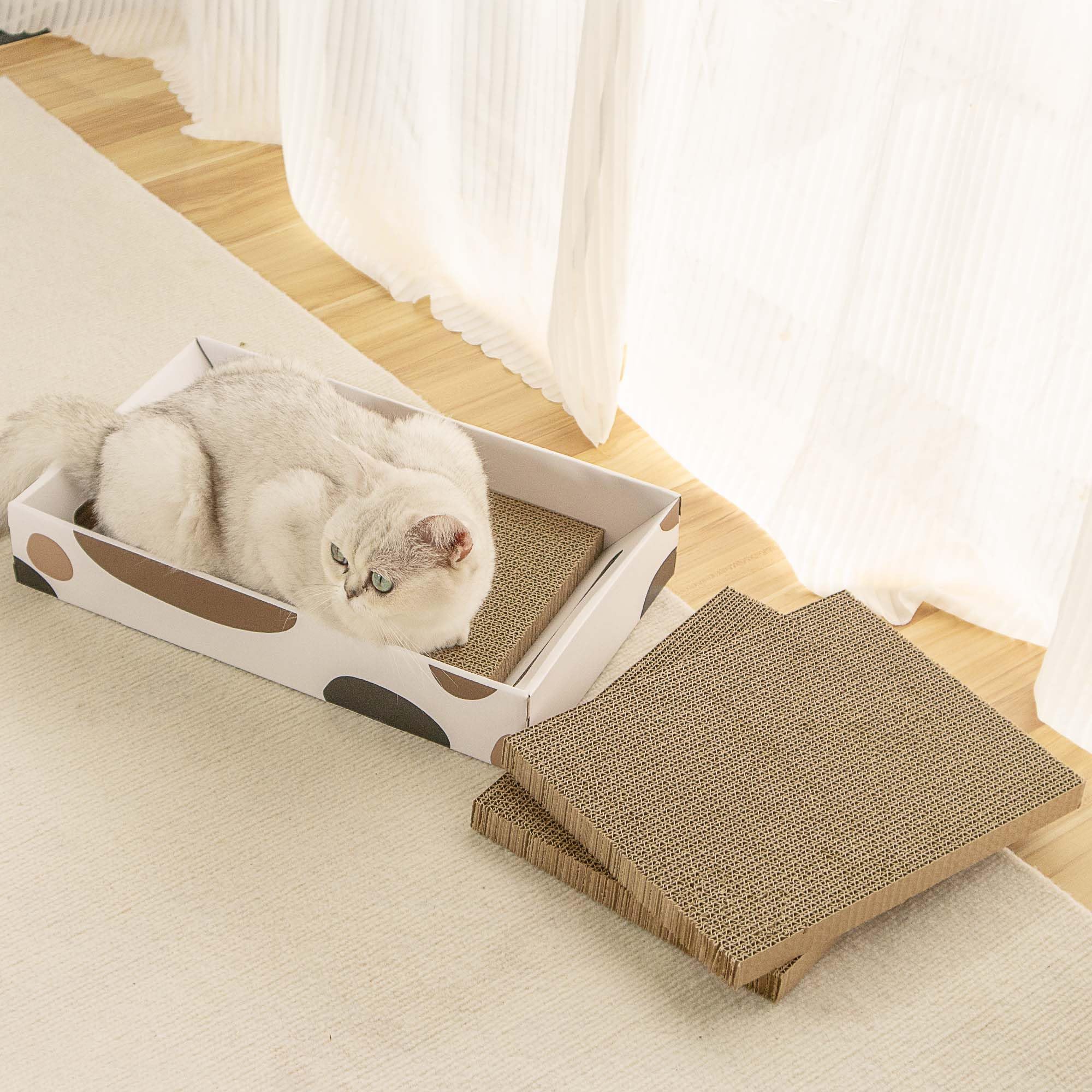 Amazon | MSBC 猫爪とぎ つめとぎ 鈴ボウル付 おもちゃ付き 箱型 掃除