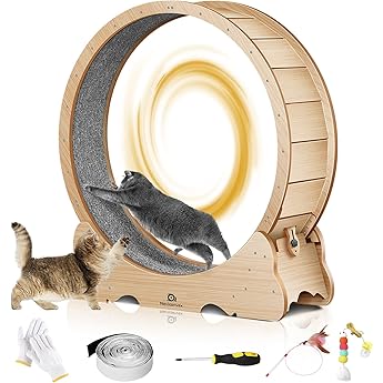 Cat Wheel, Cat Wheels for Indoor Cats, Noiseless Cat Treadmill for Cat Weight Loss,