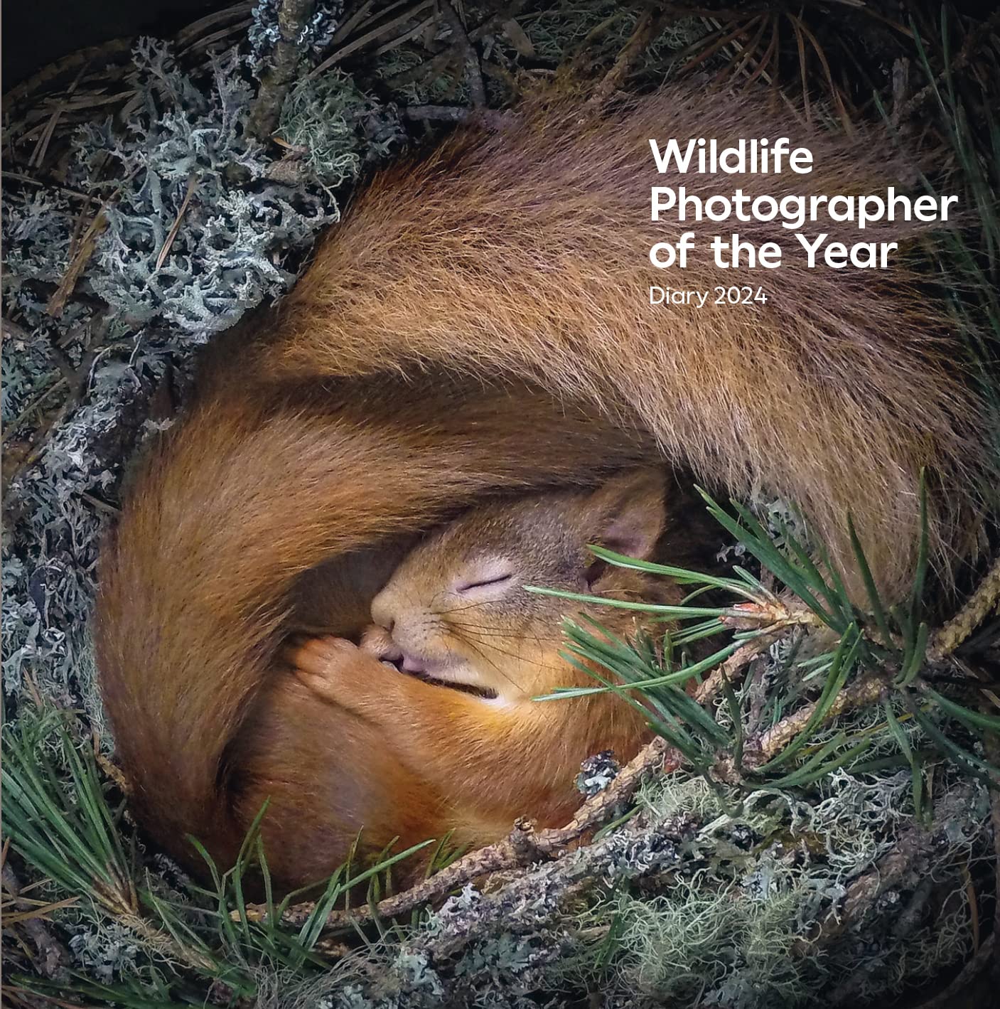 Wildlife Photographer of the Year: Pocket Diary 2024 (Wildlife Photographer of the Year Diaries)