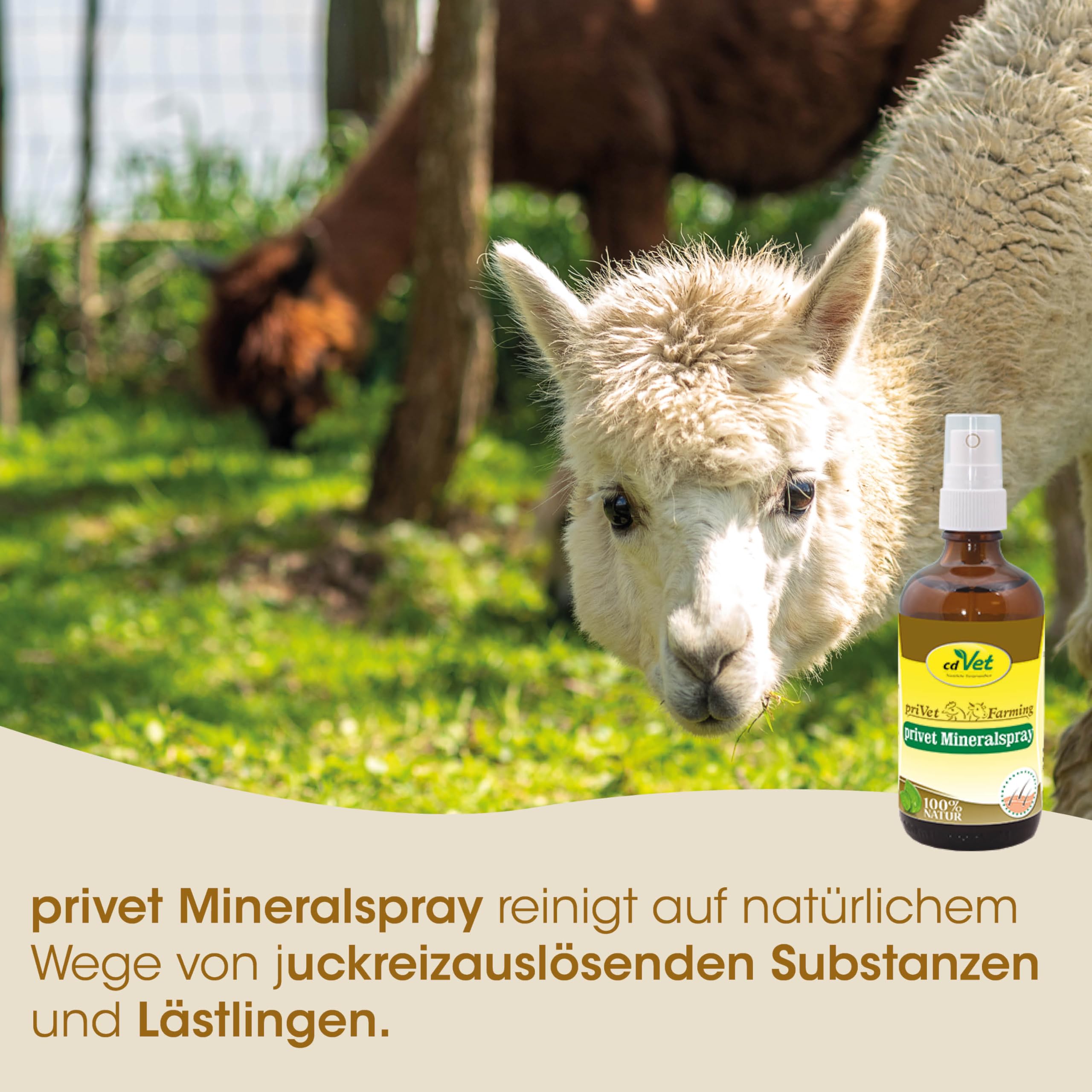 cdVet Naturprodukte privet Mineralspray 500 ml - Ziege, Schwein, Rind - Pflegemittel - juckende + schuppige + trockene Haut - glanzlosem Fell - Parasitenbefall - pflegt + beruhigt die Haut - Glanz -