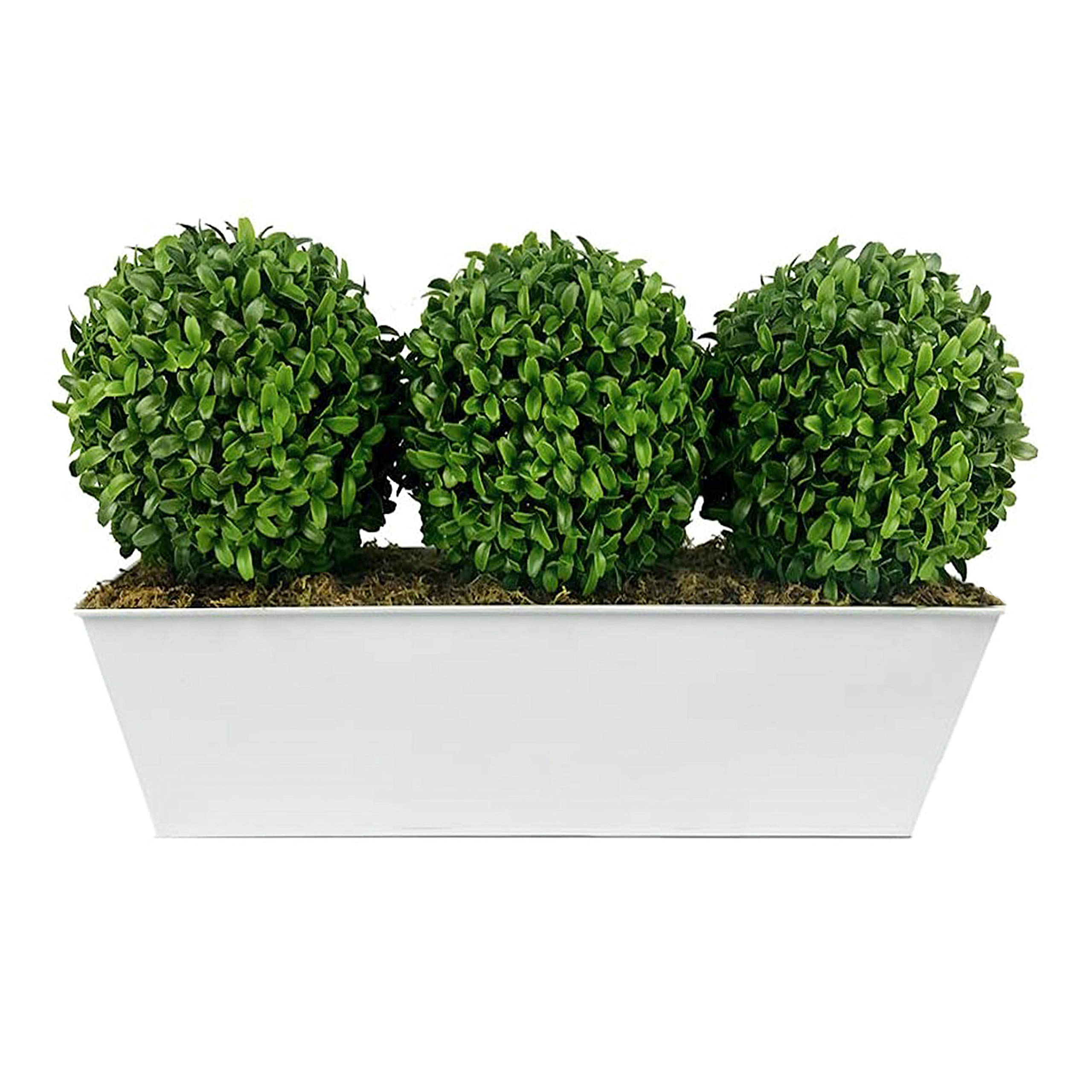 GreenBrokersArtificial Topiary Triple Ball Aglaia Boxwood in White Slanted Tin Window Box Ideal for Home, Office Outdoor Living 54cm/17in