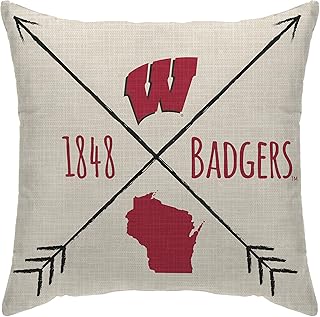 Pegasus Sports Officially Licensed NCAA Cross Arrow Decorative Throw Pillow, 18" x 18"