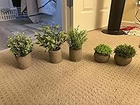 Review Image by Mike Mike