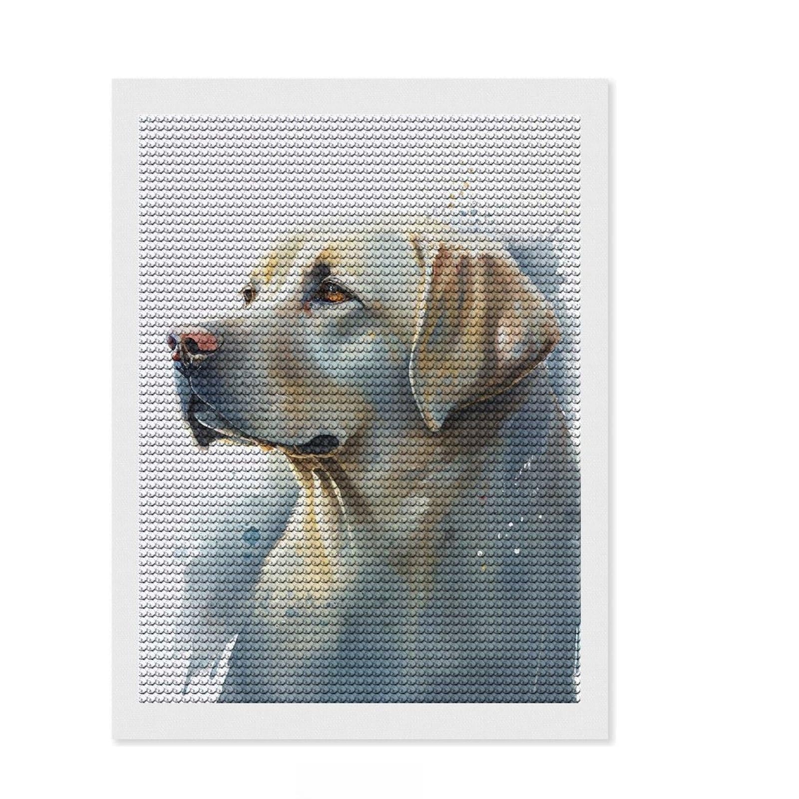 Junmoney Labrador Watercolor Animal Diamond Painting Kit 12"x16", Good for Quiet Evenings, Mindful Craft Activity, Living Room Decor, Gift Idea