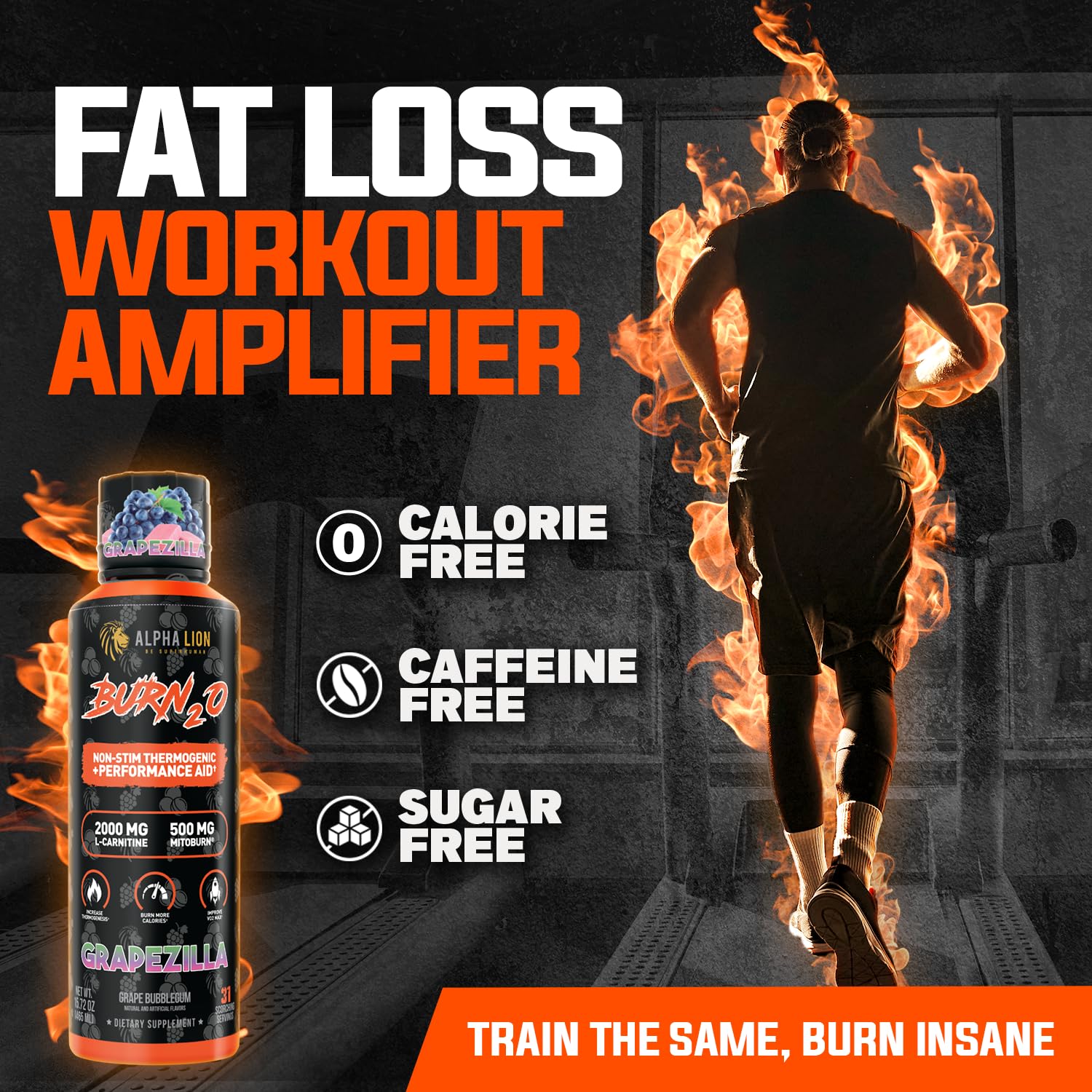 alpha lion l carnitine Amazon.com: ALPHA LION Burn2O L-Carnitine Liquid 2000mg – Stim Free Super  Thermogenic Fat Burner with MitoBurn® & CaloriBurn GP®, Metabolism Booster,  Zero Calorie, Sugar-Free (31 Servings, Grapezilla Flavor) : Health &  Household