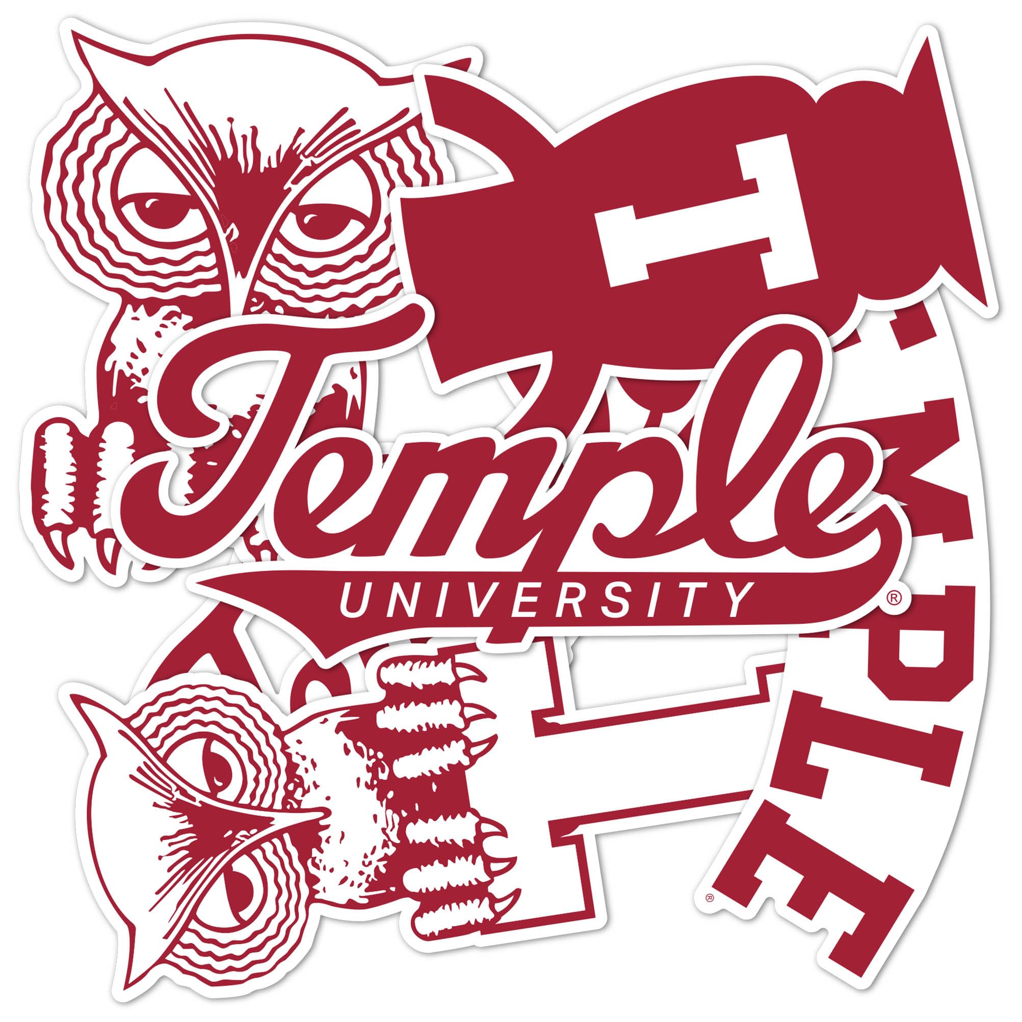 Desert Cactus Temple University Sticker TU Owls Vinyl Decals Laptop Water Bottle Car Type 2 (T2 Vintage 1)