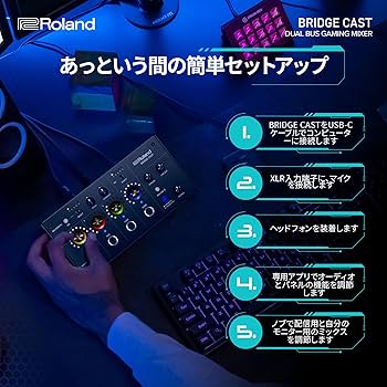 Amazon.co.jp: ローランド Roland BRIDGE CAST/ゲーミングDAC