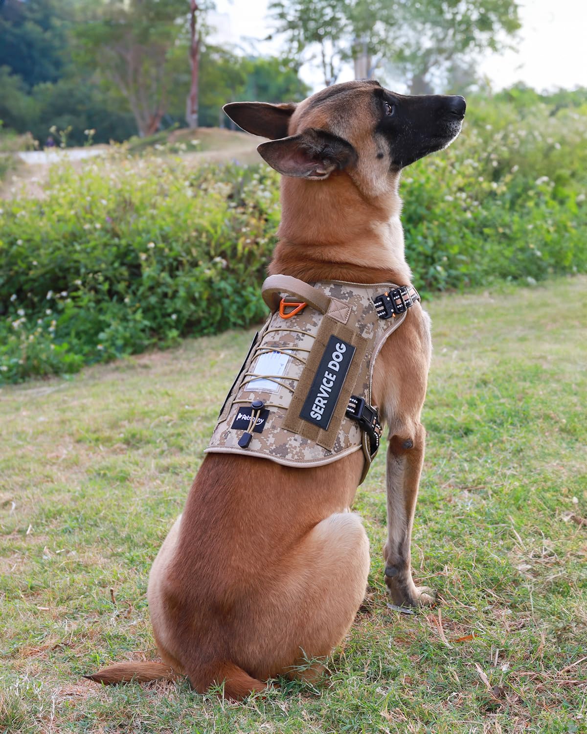 PETNANNY Arnés táctico reflectante con tarjeta de identificación, arnés de chaleco para perros medianos y grandes, chaleco de apoyo emocional con asa acolchada, 2 parches reflectantes para