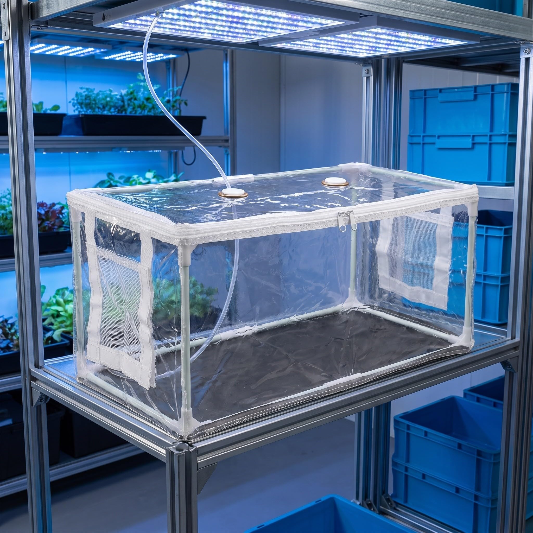 Serrage à Champignons Isolée en PVC, Structure Pliable Transparente