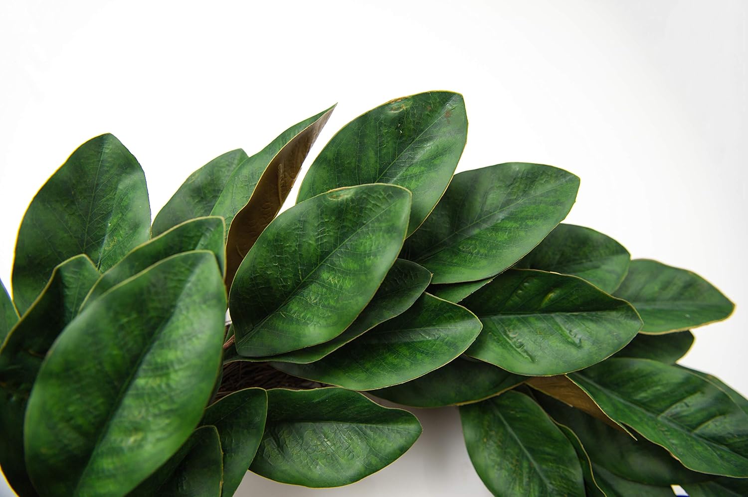 🛒 Flаѕh Sаlе Huashen Spring Magnolia Large Wreath, Green PU Leaf on Grapevine Farmhouse 24 inch for Everyday Indoor, Front Door Prоduсt Dеаl Huashen Spring Magnolia Large Wreath, Green PU Leaf on Grapevine Farmhouse 24 inch for Everyday Indoor, Front Door