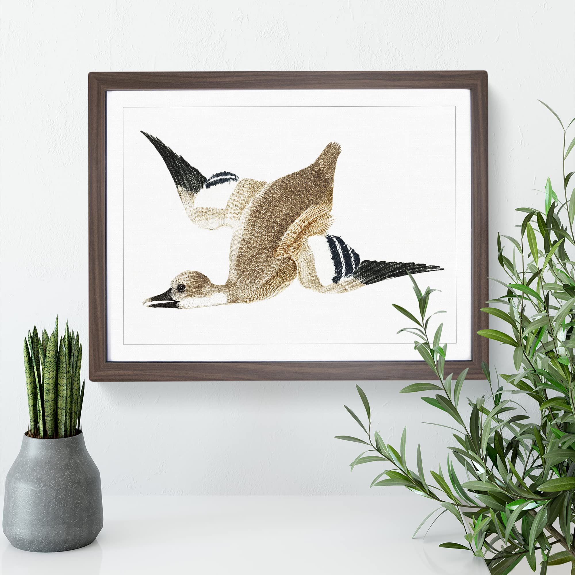 Flying Duck By Johan Teyler Vintage Framed Wall Art Print, Ready to Hang Picture for Living Room Bedroom Home Office Décor - Image 2