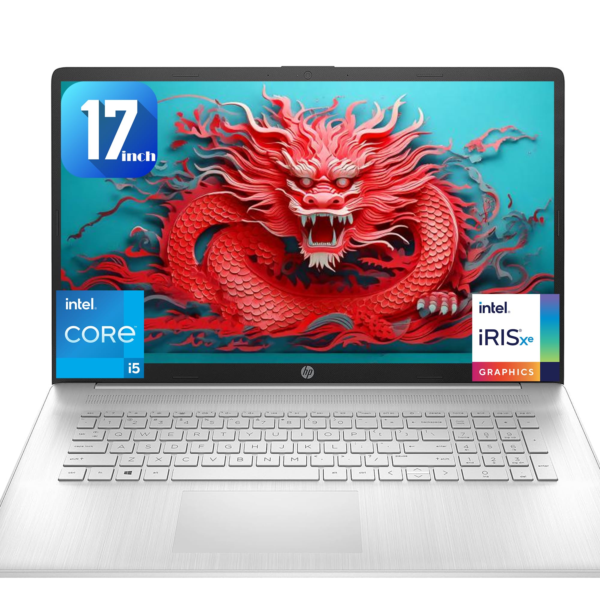 Amazon.com: HP 17.3