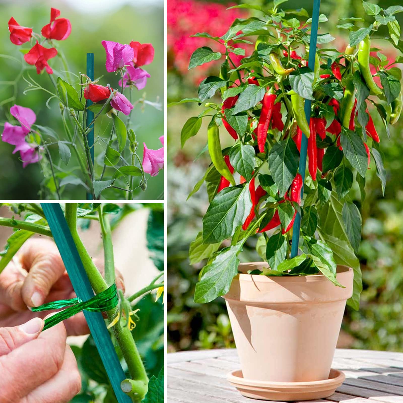 Staccionata in bambù 90 x 240 cm, per rampicanti. Utile per giardini, recinzioni, decorazioni, supporto delle piante