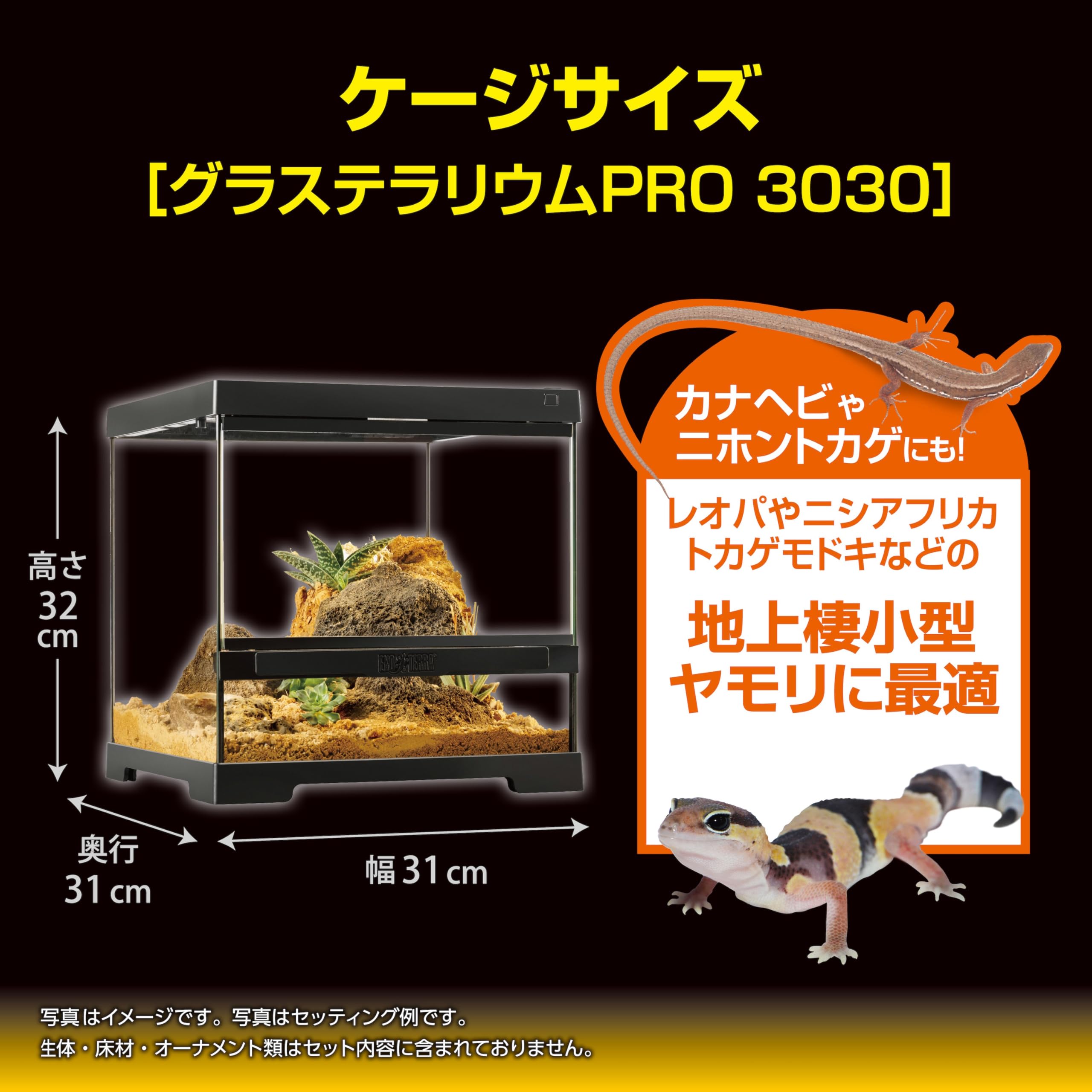 Amazon | エキゾテラ EXOTERRA レオパ飼育キットGTP3030【飼育ガイド