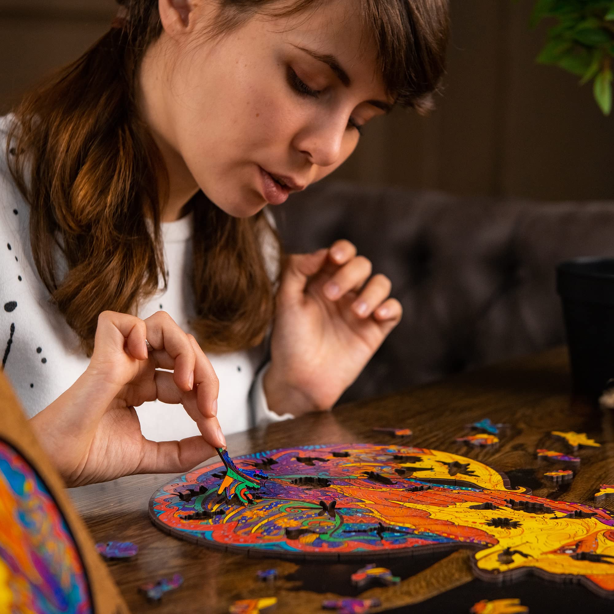 UNIDRAGON Wooden Puzzle Jigsaw 