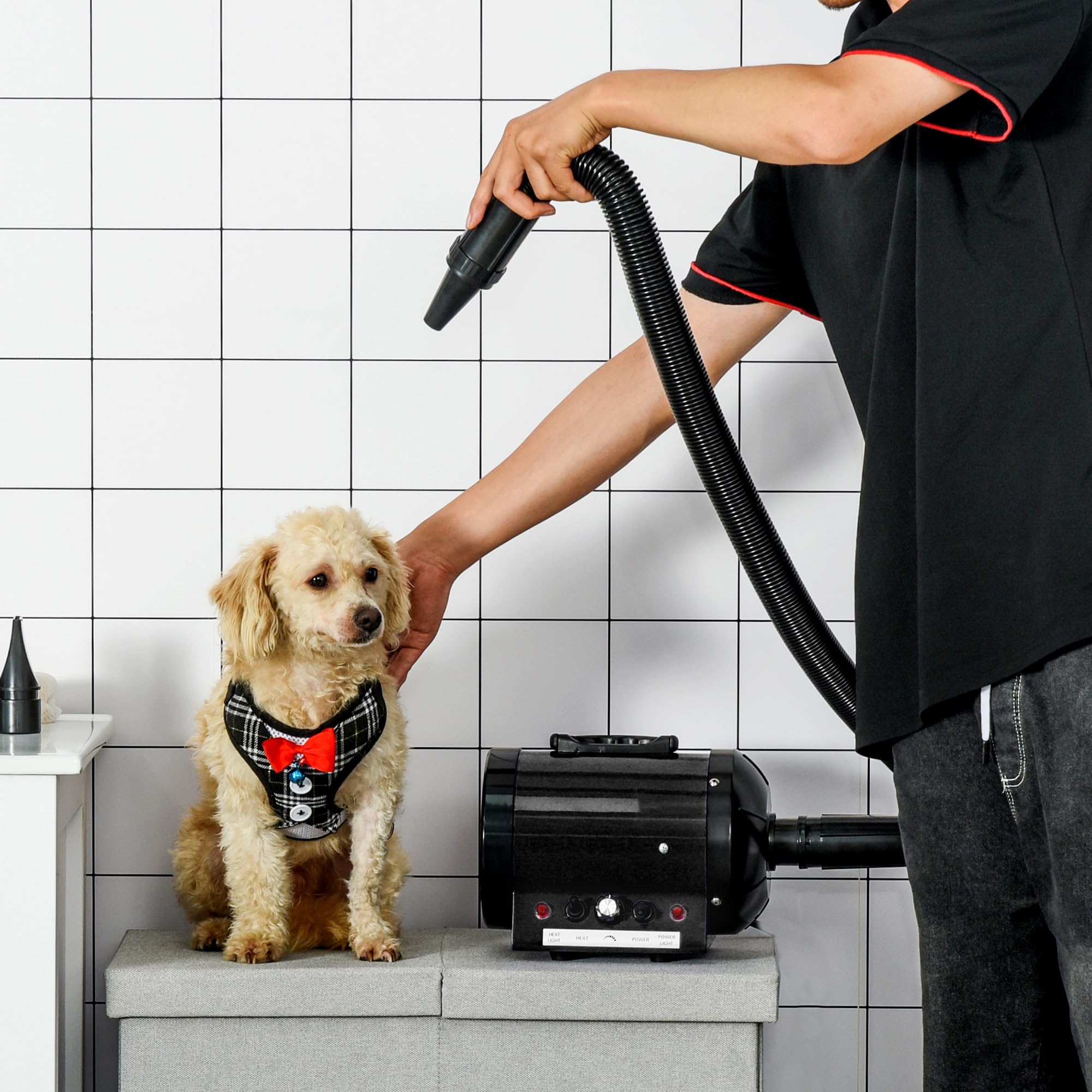 PawHut Séchoir Professionnel Toilettage Pulseur Chiens Chats 2800W Noir | Sèche-Poils, Sèche-Cheveux, pour Animaux, Vitesse et Température Réglables, 3 Buses Interchangeables Incluses