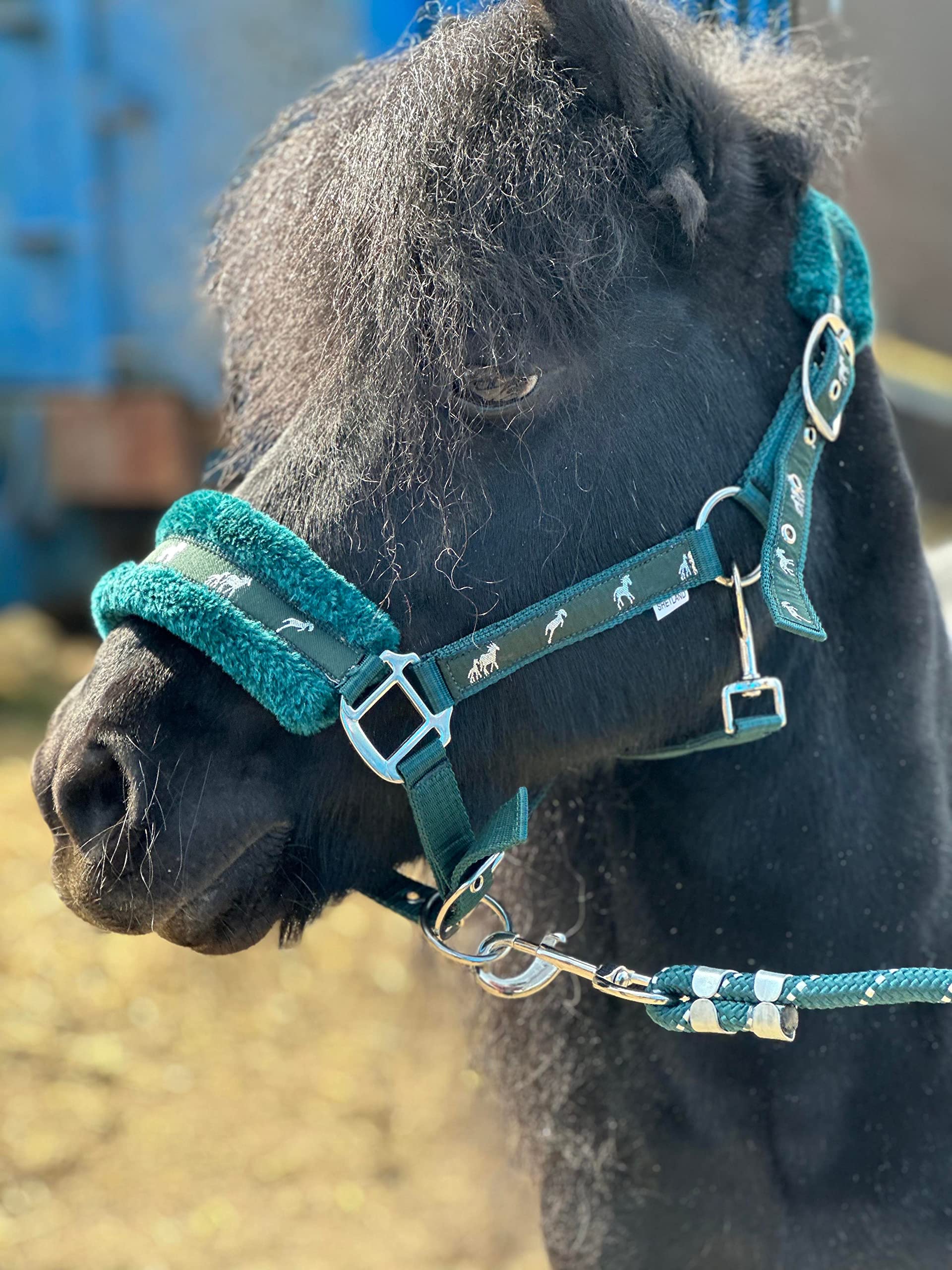 QHP Licol à Nœud Avec Rênes Assorties – Vert Pomme – Tailles Poney, Cob, Full – Épaisseur 10mm