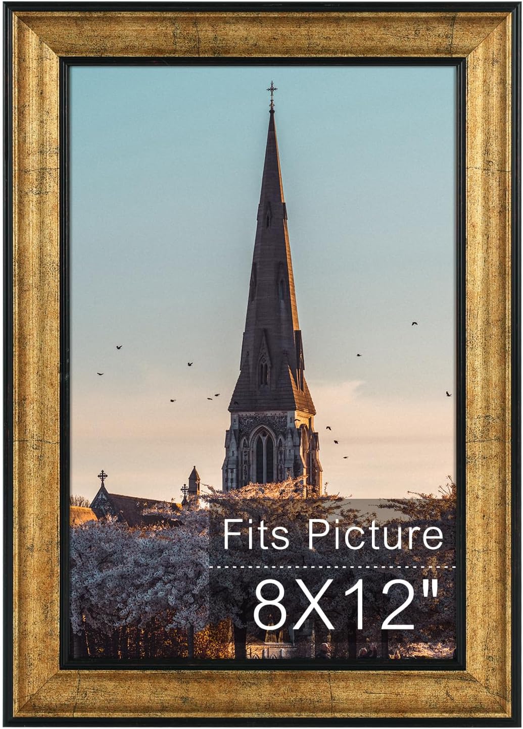 AUEAR, 8X12 Picture Frame Without Mat to Display 8X12