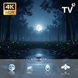 HibaBaraada - Fire TV & tablet