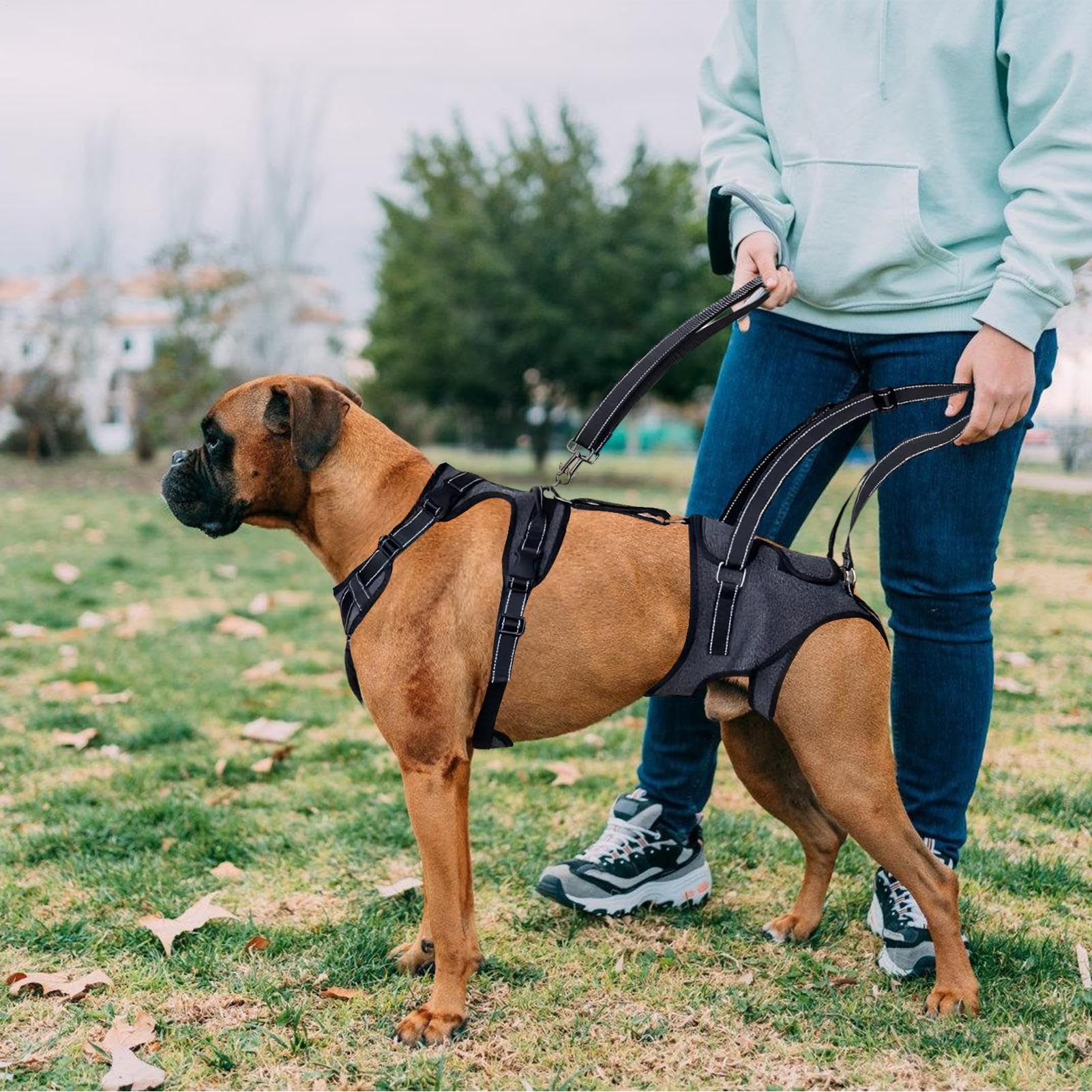 Imbracatura di sollevamento Gilet regolabile con cinghie di trasporto per | Maniglie Sollevatore Per Cani per cani anziani, disabili, riabilitazione e visite veterinarie