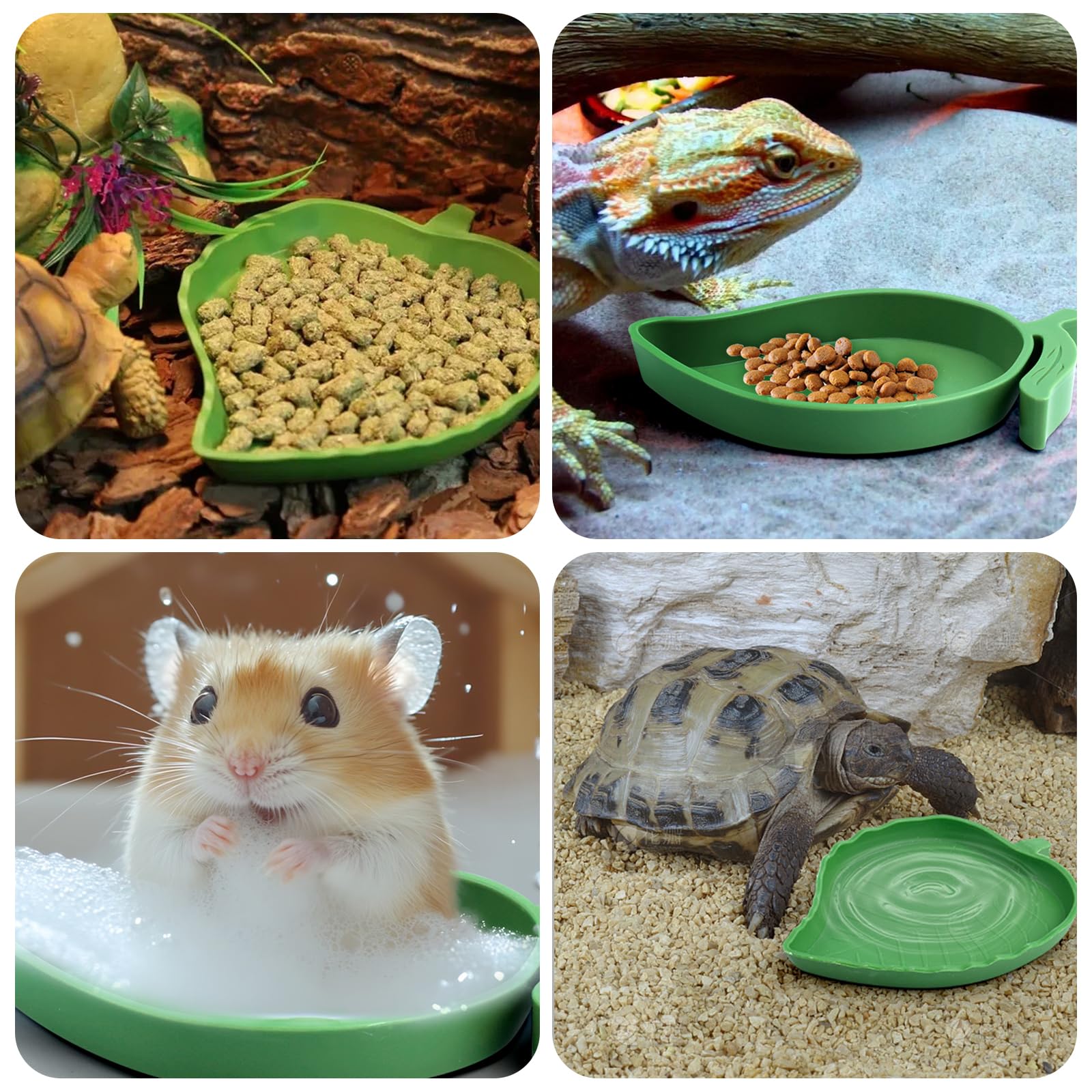 4 sztuki miseczek do terrariów, gadów, żółwi, miseczka do picia dla jaszczurek, z pęsetą, kształtami liści i mango, dla jaszczurek, węży, żółwi, szczurów, 4 sztuki
