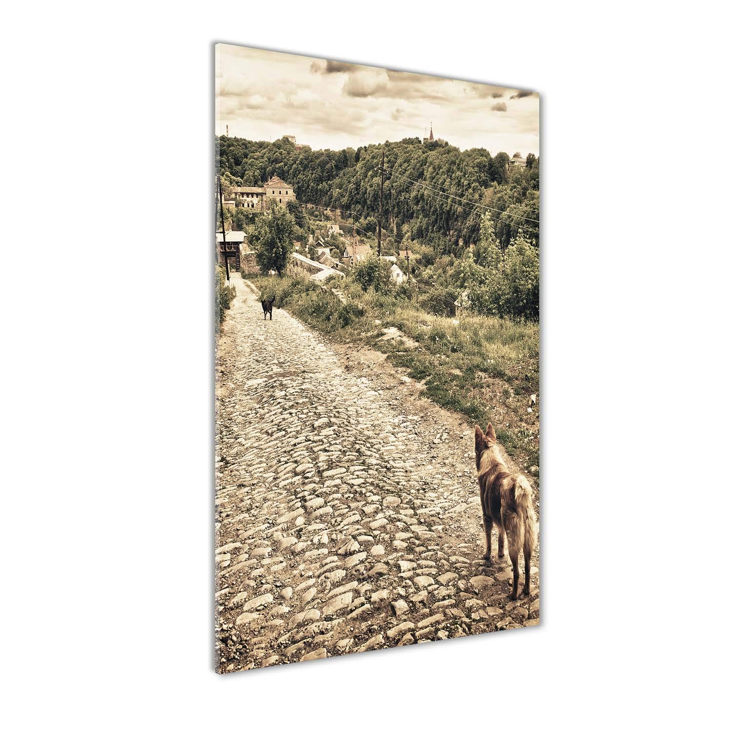 Tableaux pour la mur en verre acrylique Tulup 60x120 cm avec deux chiens beige