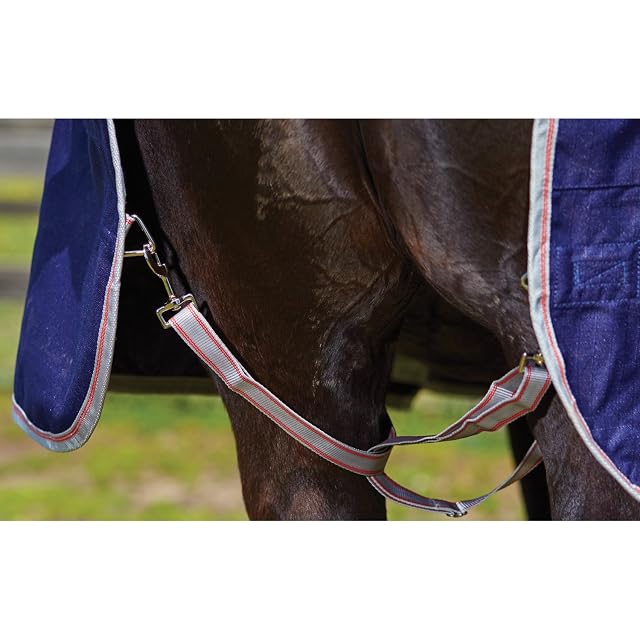 Foto 6 de 8 de Abrigo para caballo de Weatherbeeta Comfitec Essential, combinación con cubierta para cuello, Navy/Silver/Red