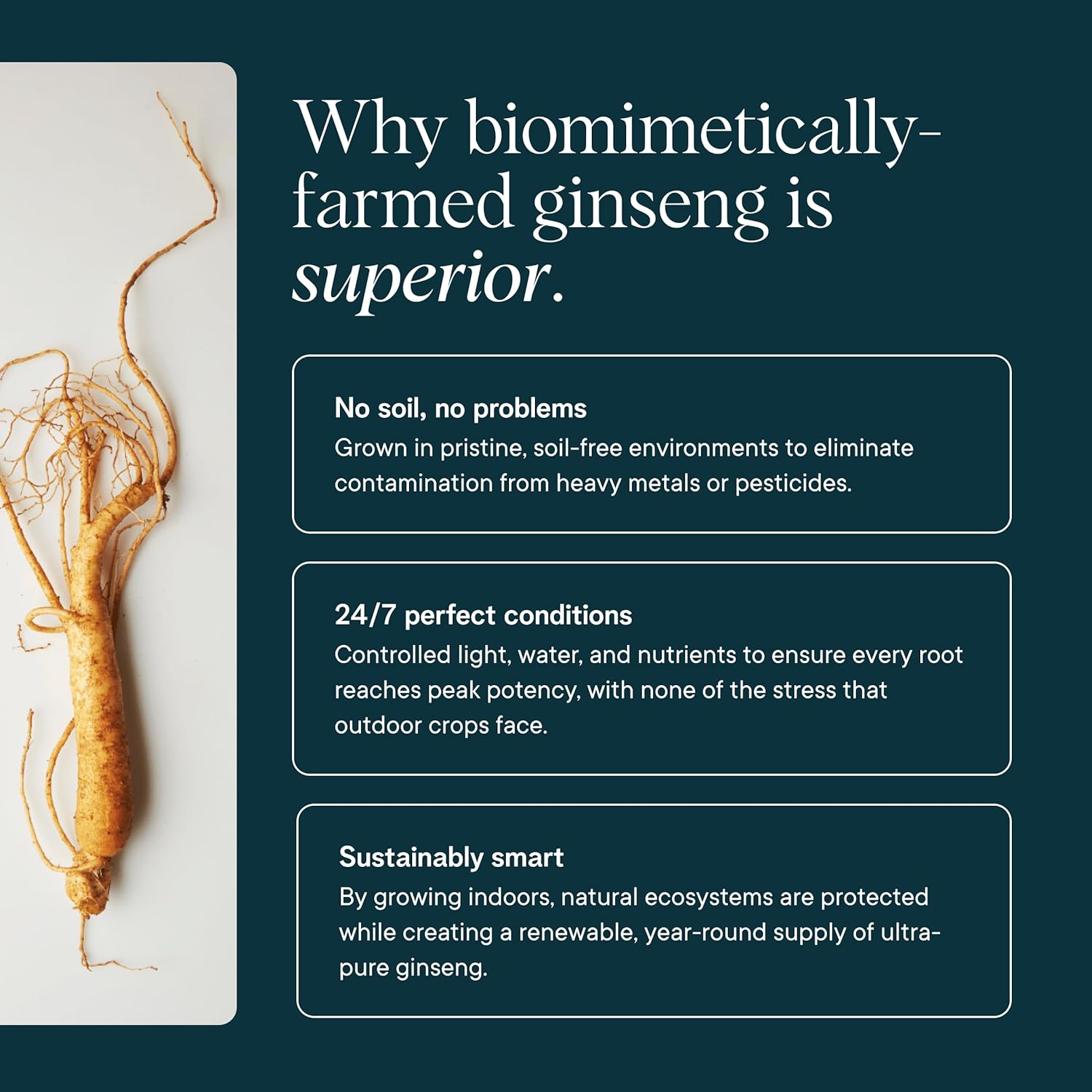 Ora Organic - Brain Health Supplement for Focus, Mental Energy + Memory - Panax Red Ginseng, Bacopa Monnieri, Alpha GPC, & EnXtra - Third-party Tested & Caffeine-free - 60 Capsules - Image 7