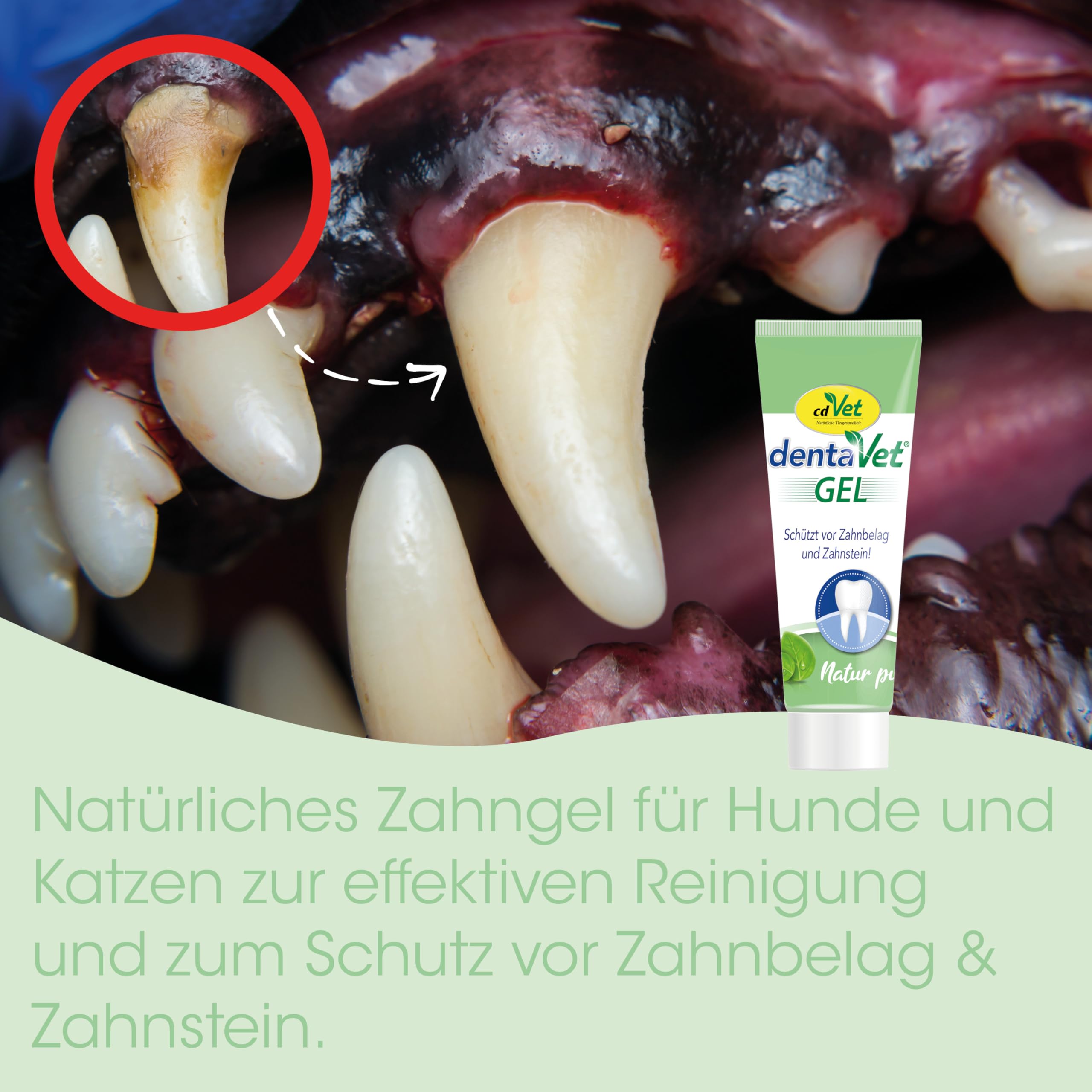 cdVet dentaVet Gel 35 g