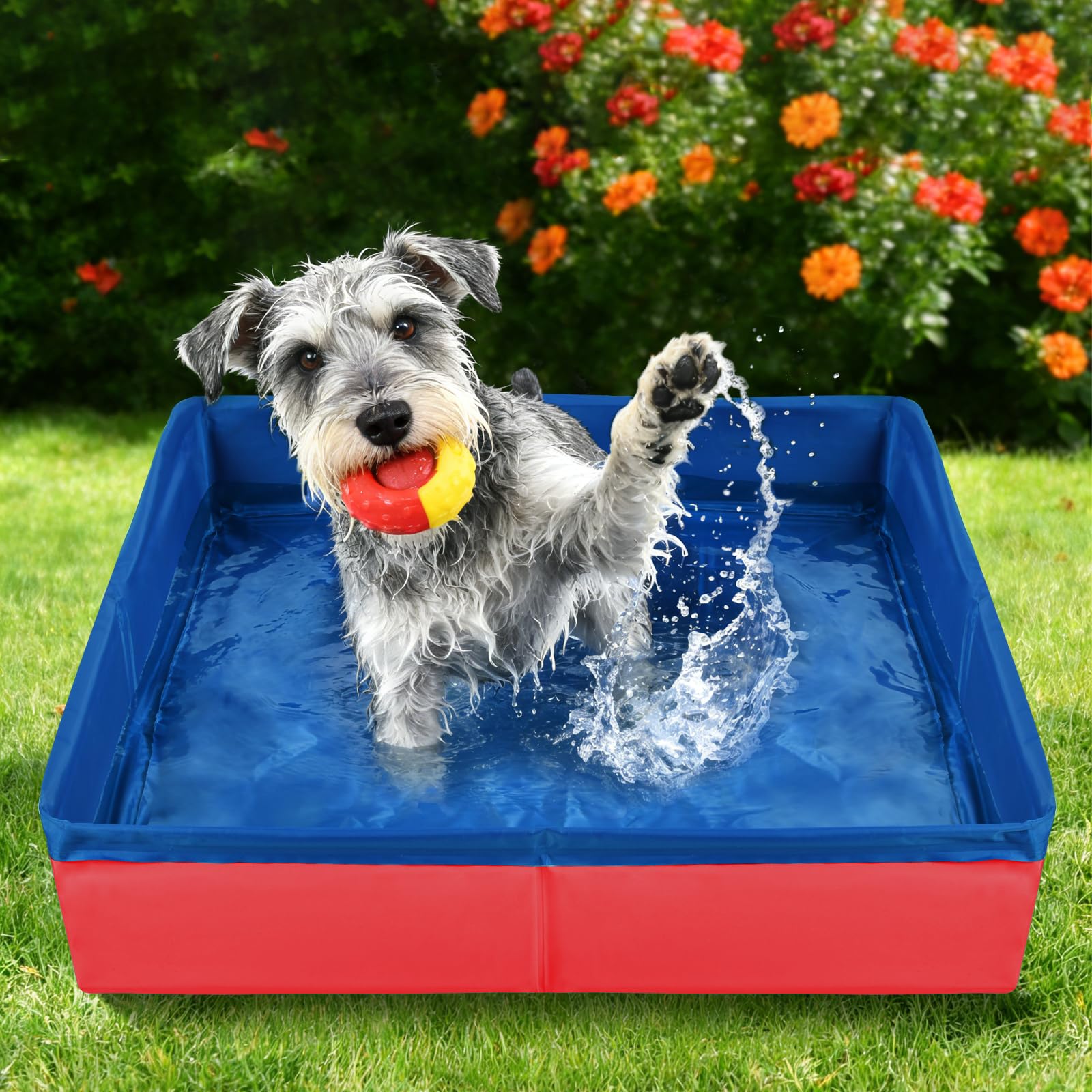 LQTSLFM Piscina Gatos, Piscina Perros y Gatos, Piscinas Plegable Gatos, Piscinas para Animal, Piscin para Gatos &Perros Pueden Jugar en el Agua, Bañarse y Descansar (50x10cm-RojoB) — view 4