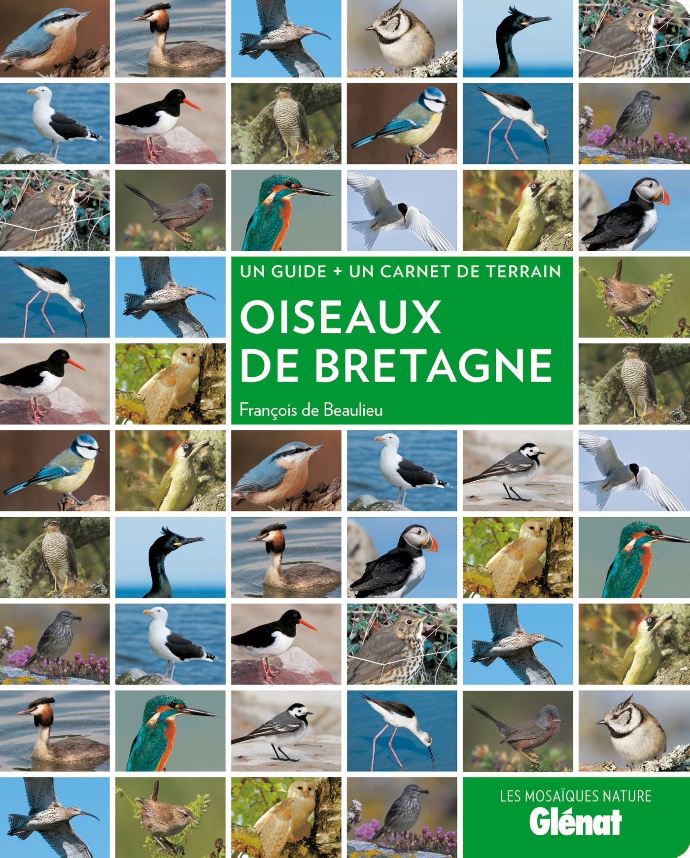Oiseaux de Bretagne (Les Mosaïques Nature)