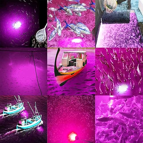 Miniatura 22 de Samdo IP68 Lámpara LED submarina de 12V para pesca, 1080 lúmenes, luz nocturna para barco, pesca de 8W Verde