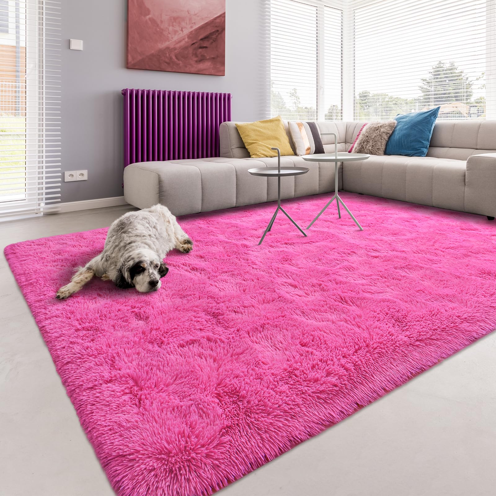 Softlife Hot Pink Area Rug for Living Room, Fluffy Shag Plush 6x9 Rugs for Bedroom Girls, Shaggy Soft Fuzzy Kids Large Carpet for Dorm Bedside Ultra