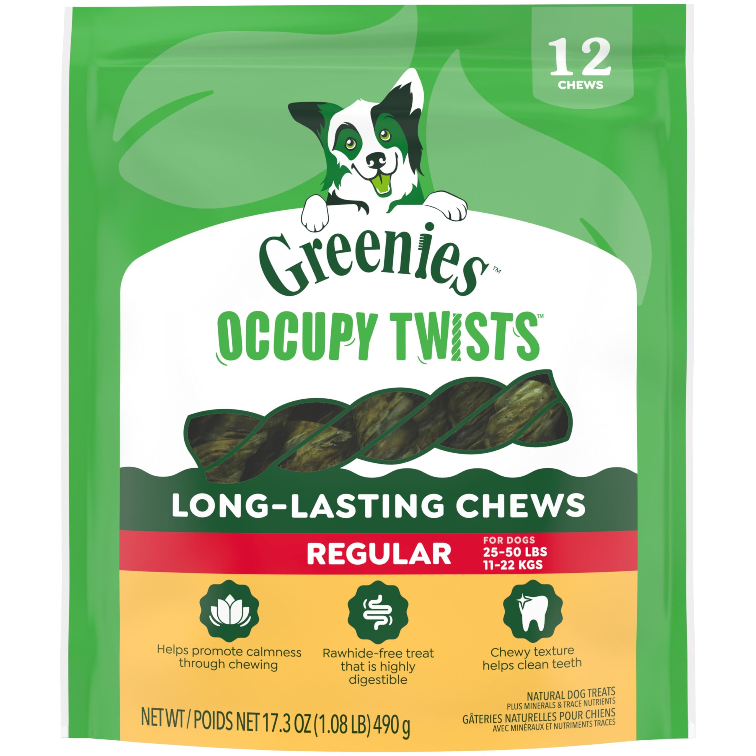 Greenies Occupy Twists Natural Dog Treats Regular Size Dog Chews Long Lasting Chicken Flavor 17 2 oz Pack