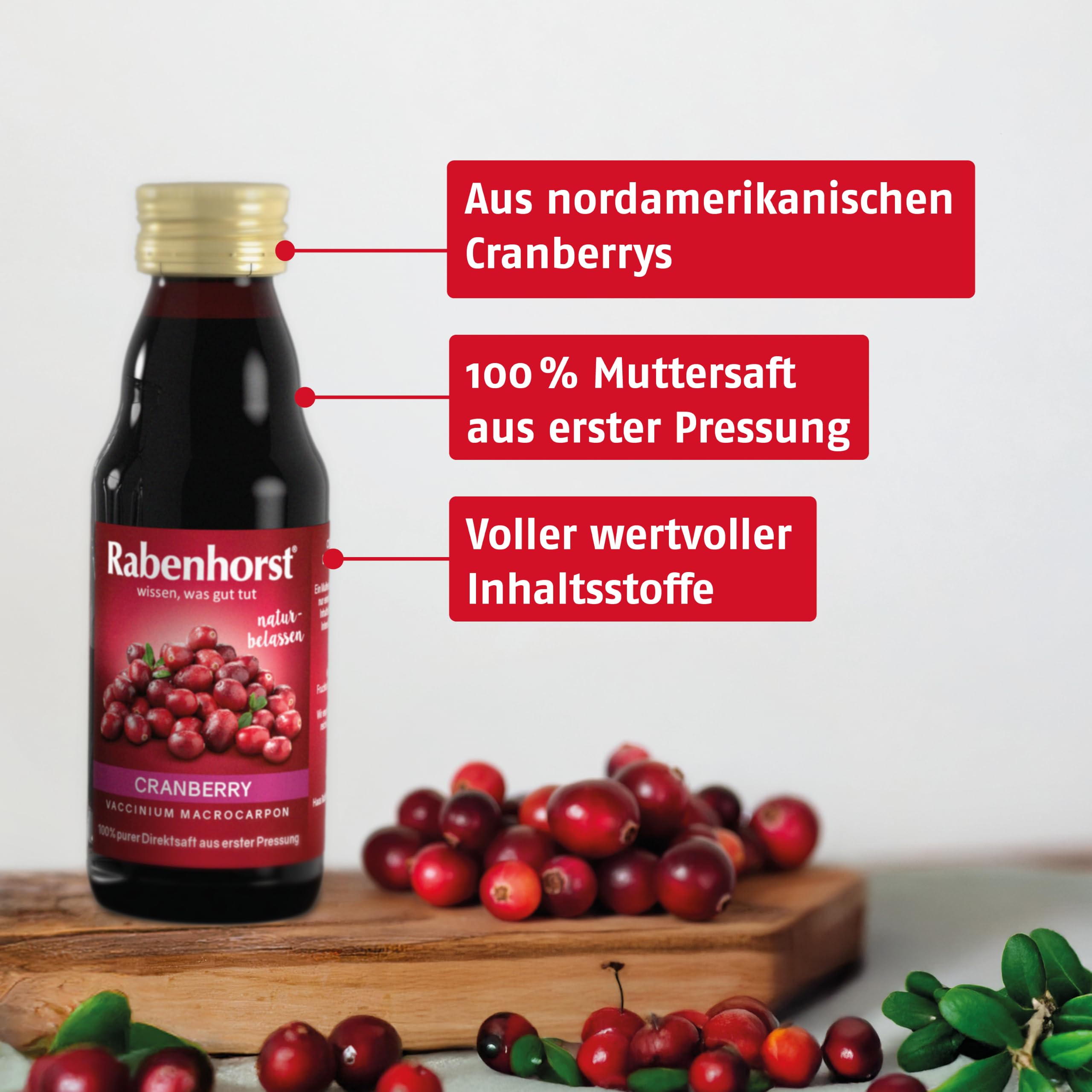 RABENHORST Cranberry Muttersaft Mini (24 x 125 ml) | 100% purer Direktsaft aus erster Pressung aus sorgfältig ausgewählten, original nordamerikanischen Cranberrys bester Qualität