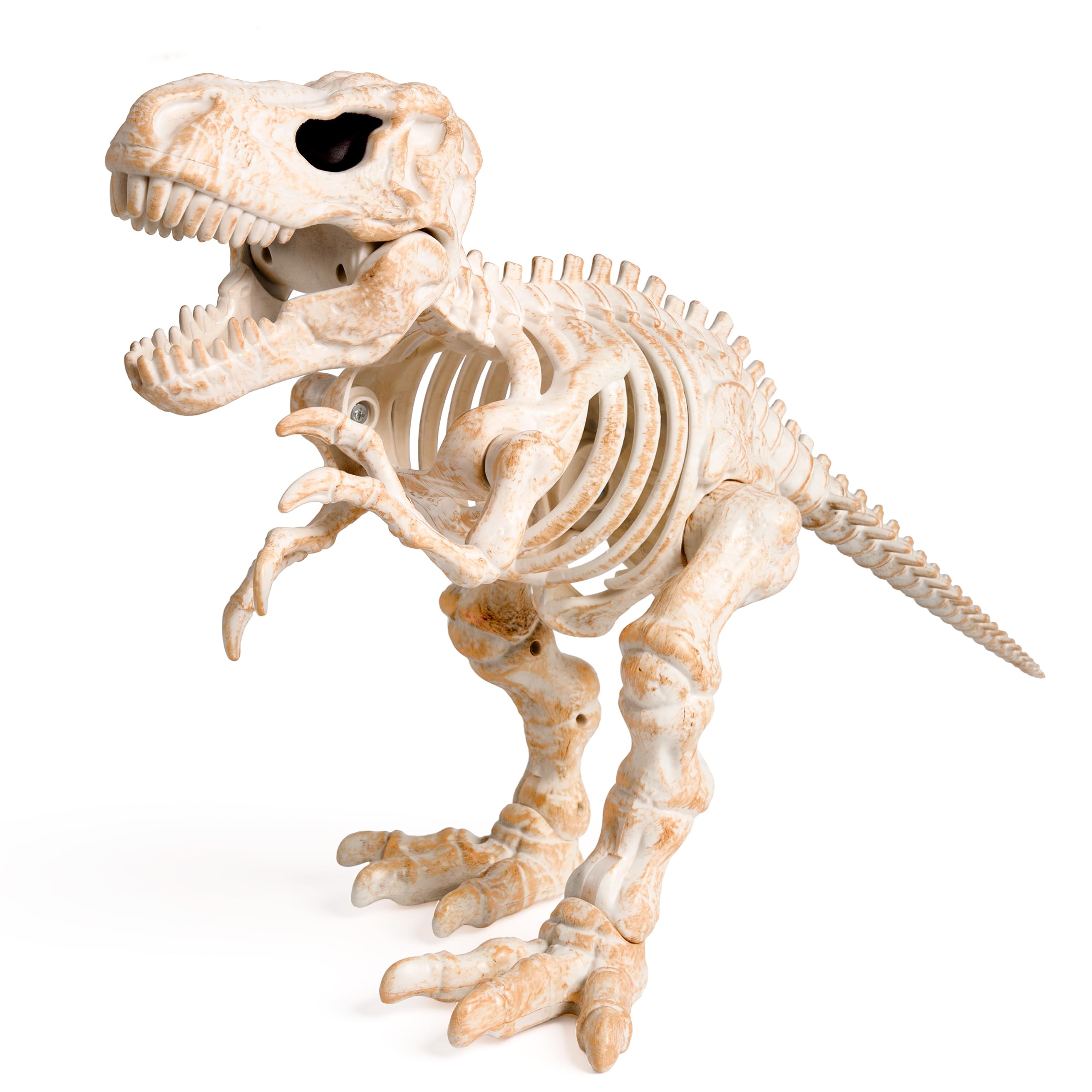 JOYIN 34 cm, scheletro T-Rex mobile per Halloween, osso di dinosauro realistico in plastica con articolazioni mobili, per casa infestata, decorazione da giardino e feste a tema dinosauri spaventosi