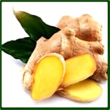 greenlight guru software Make your Body Healthy Healthy With The Benefits Of Ginger