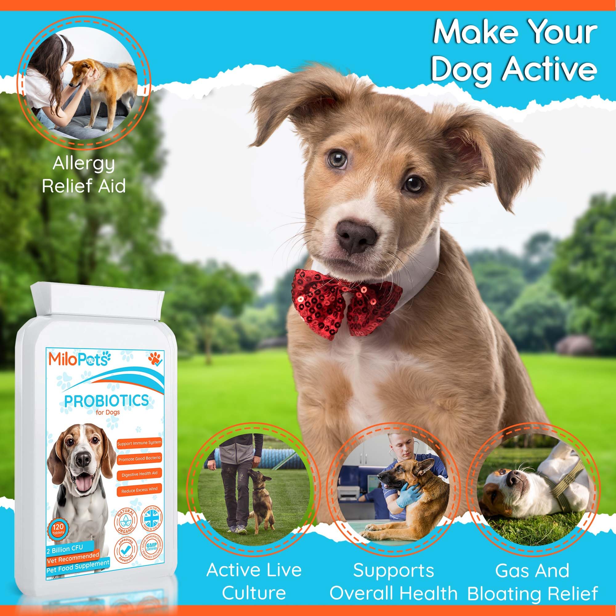 Photo inspiration: Probiotics For Dogs Gas Diarrhoea Allergy Constipation Upset Photo Inspiration