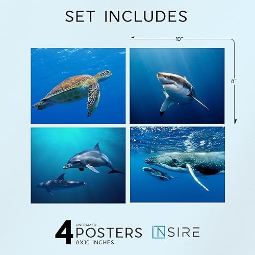 Miniatura 2 de Insire Póster estampado de océano, póster de tiburón ballena, póster de ballena, póster de delfín, imágenes de ballenas, póster de tortuga marina,