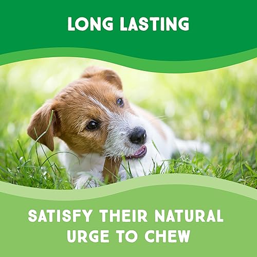 Miniatura 4 de Todos los chips naturales de cuero crudo de vaca verde de primera calidad, sin olor, promueve la salud dental, forma perfecta, sabor irresistible.