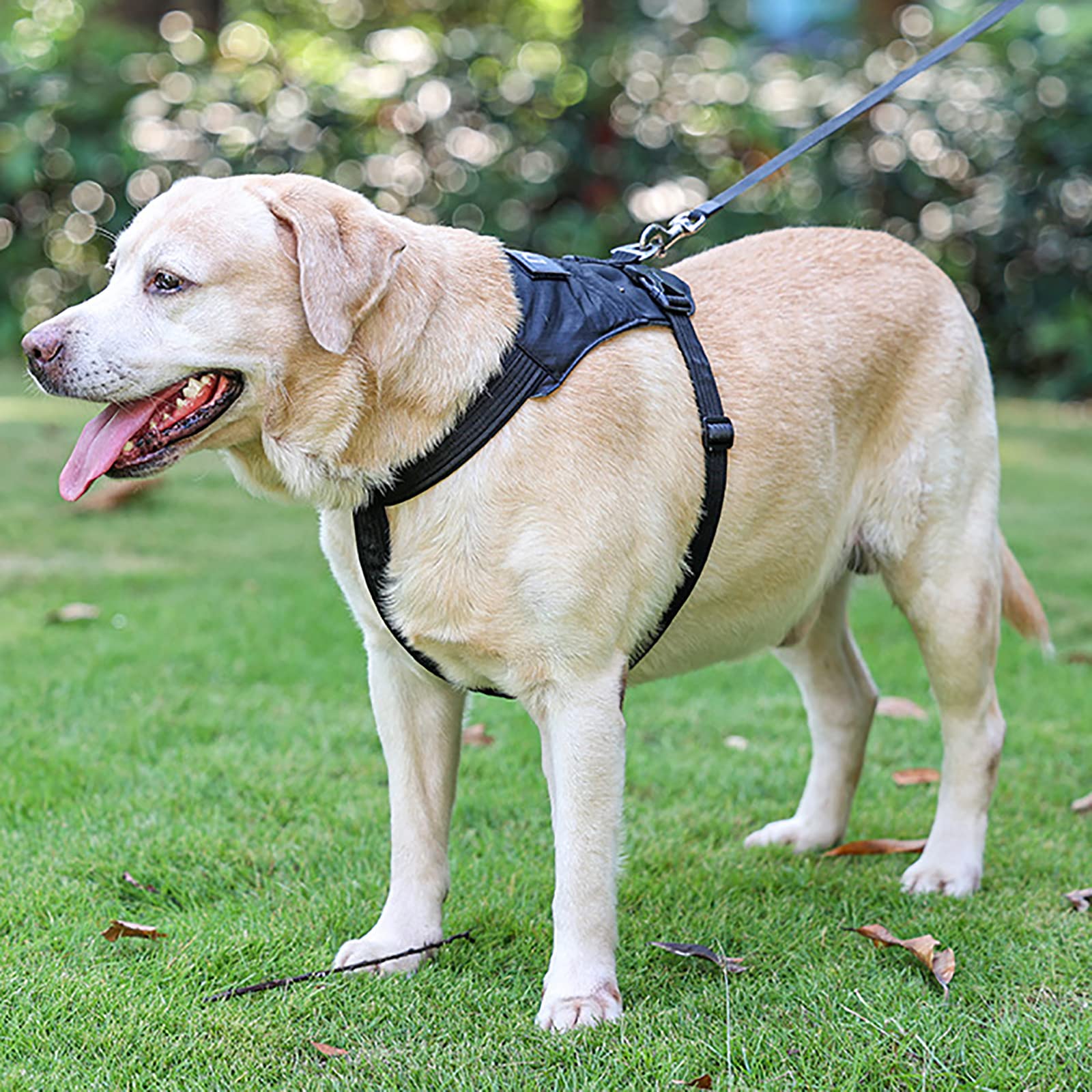 Pettorina per Cani Pettorina per Animali Domestici Gilet Regolabile per Cani Gilet Oxford Riflettente per Animali Domestici All'aperto con Maniglia di Controllo Facile