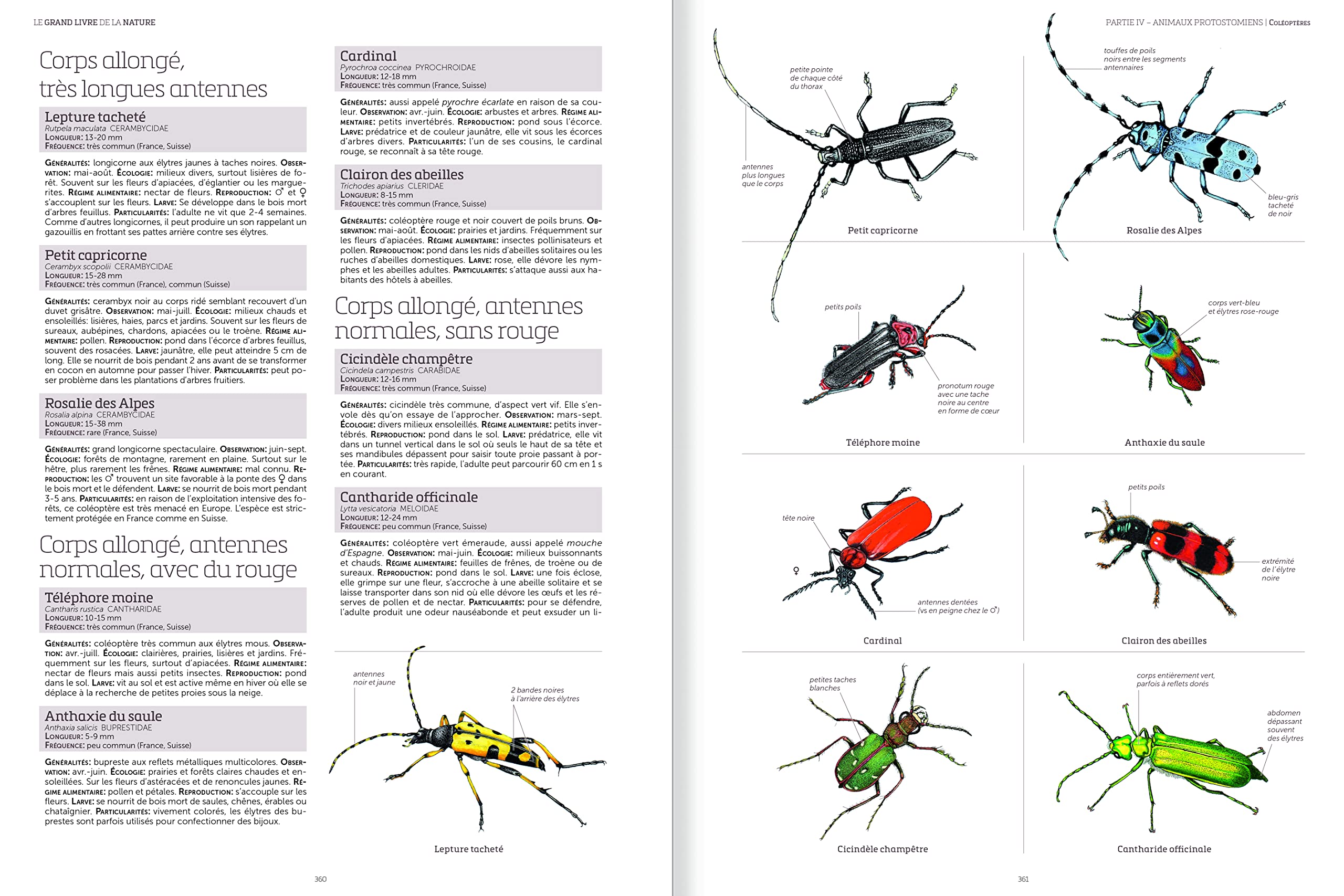 Le grand livre de la nature