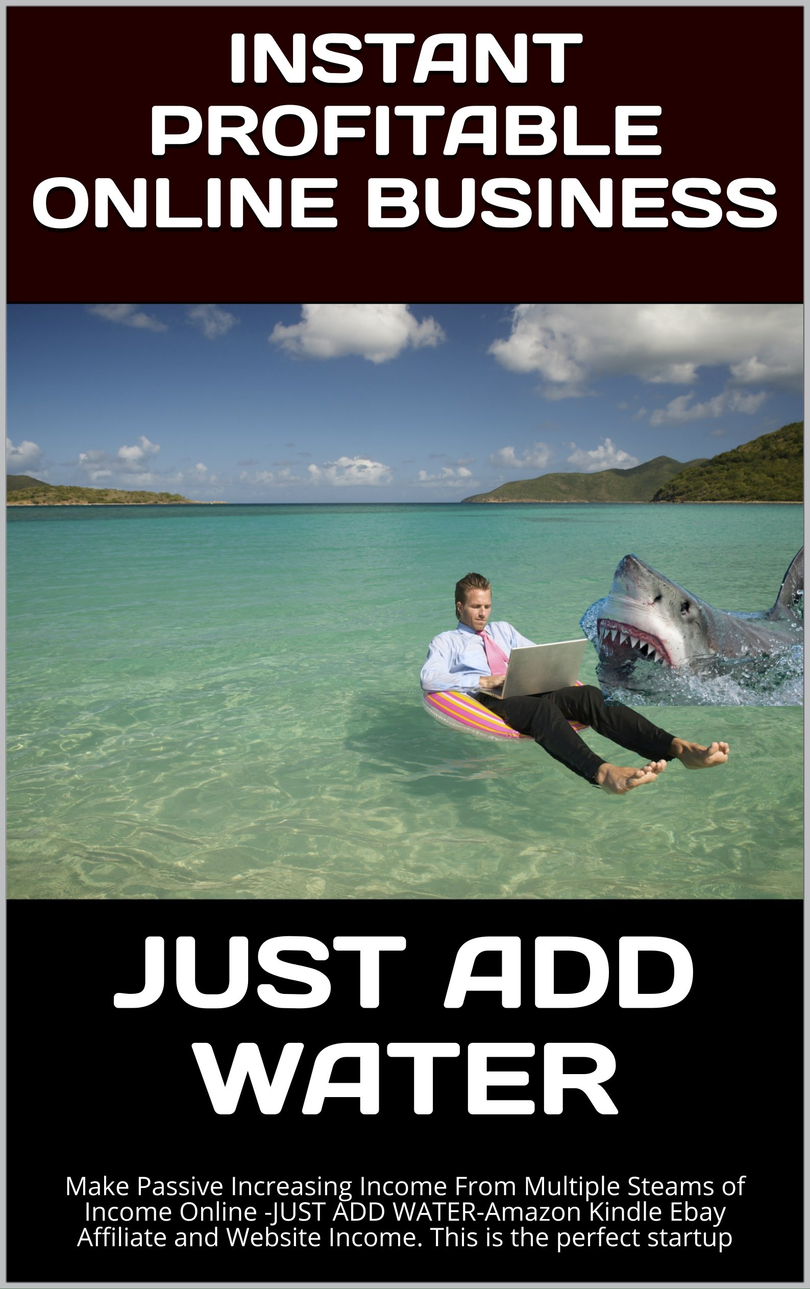 Instant Profitable Online Business: Make Passive Increasing Income From Multiple Steams of Income Online -JUST ADD WATER-Amazon Kindle Ebay Affiliate and ... is the perfect startup (English Edition)