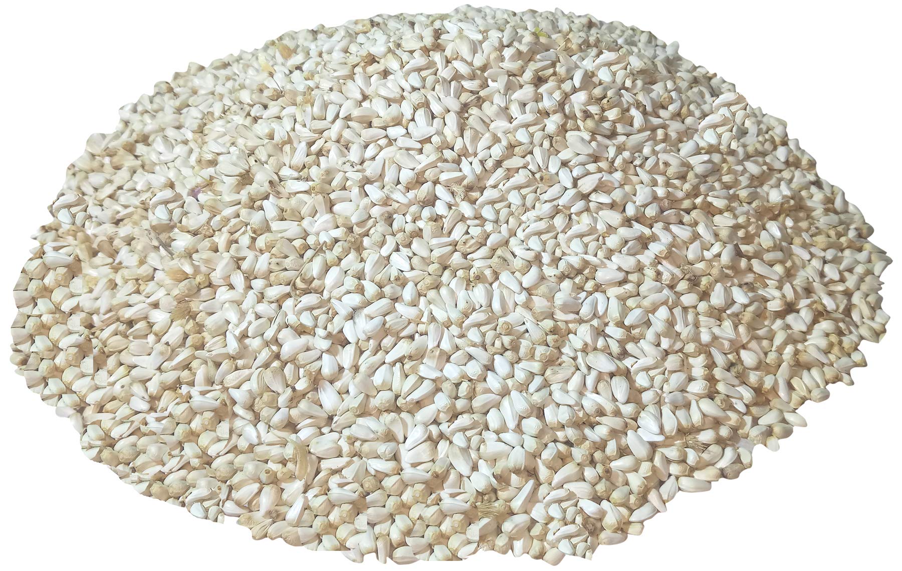 Sky White Safflower Seeds (Kusum Dana) Natural Bird Foods for Cockatiel,Silver Finches,Munia,Parakeets,Parrots,Budgies,Dove Seed Eating All Birds Dry Bird Foods (B0842HJ369) Amazon Price History, Amazon Price Tracker