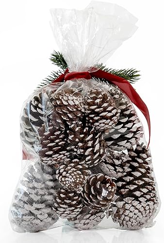 Miniatura 2 de ANDALUCA Florero decorativo de piña y rellenos de cuencos (pino escarchado)