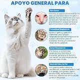 Ver la foto 6
