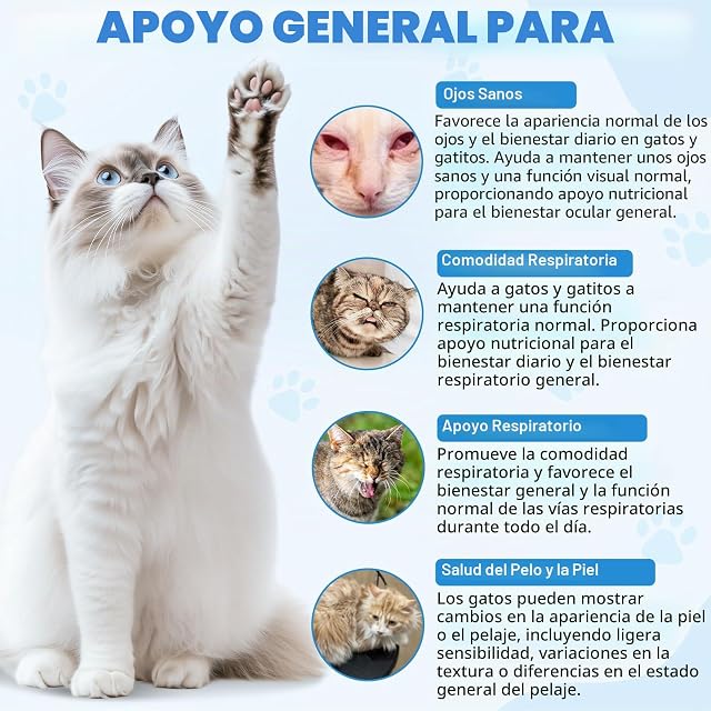 Foto 6 de 7 de Lisina Cat - L-lisina gotas para gatos, apoya la salud del sistema inmunológico, alivia las alergias…