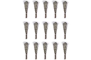 Natural Dried Echinops Blue Globe Thistle, 15 oz Bulk Pack