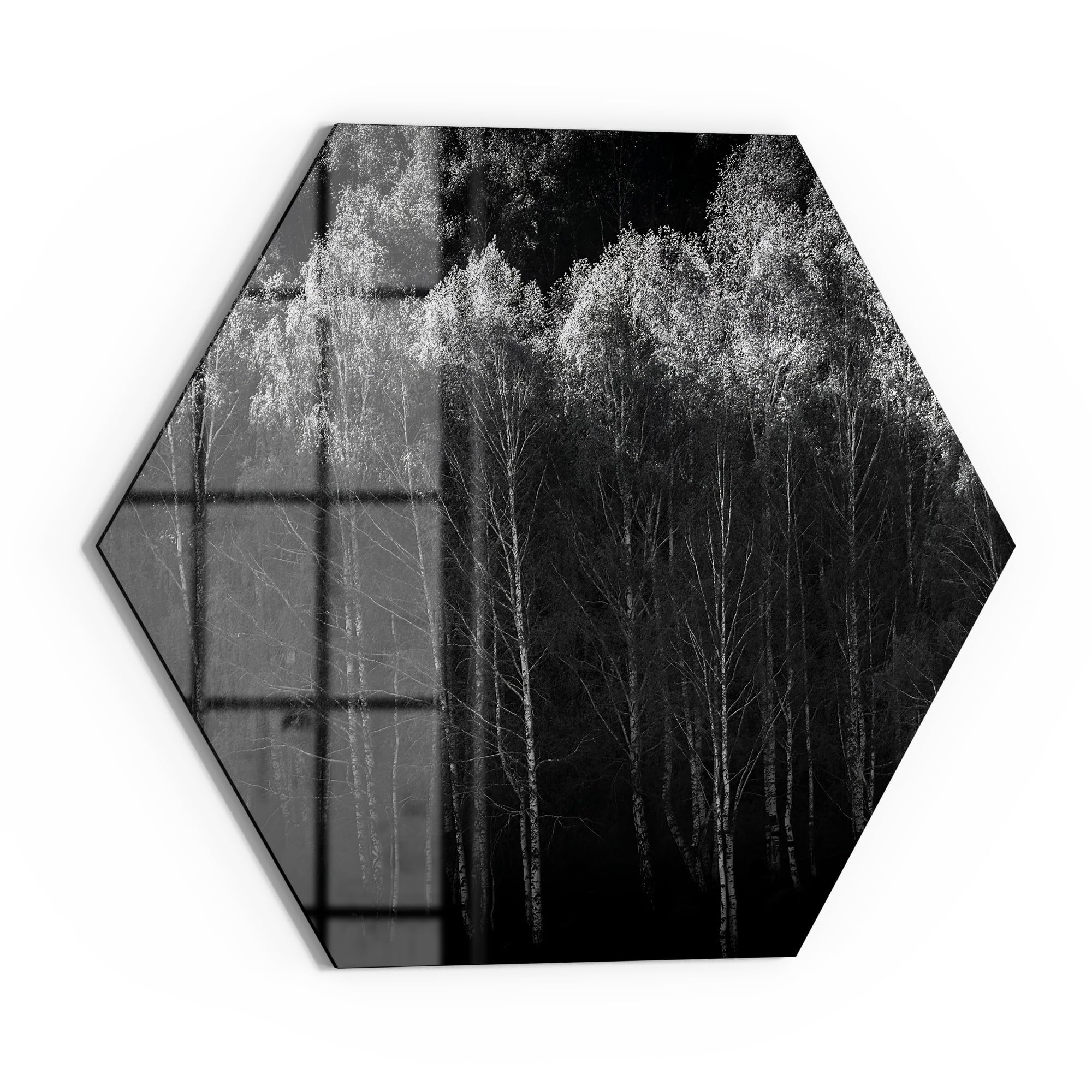 DEQORI Szklana tablica magnetyczna | sześciokątny rozmiar 55 x 47,6 cm | motyw "Cisza lasu" | tablica memo ze szkła | tablica magnetyczna z magnesami, długopisem i ściereczką do kuchni i biura |