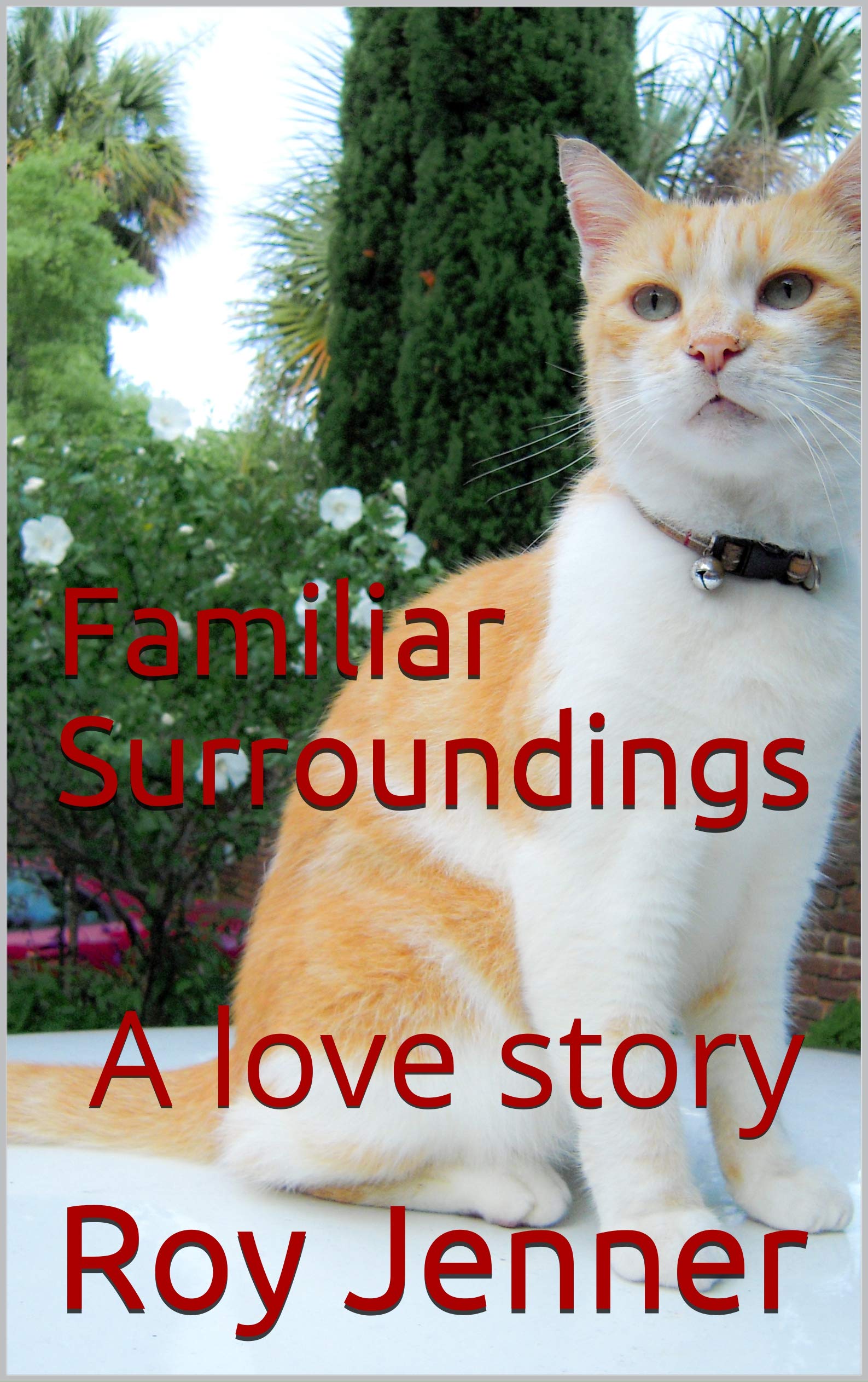 Familiar Surroundings: A love story
